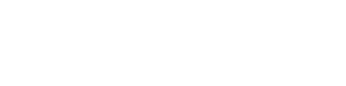 SANY